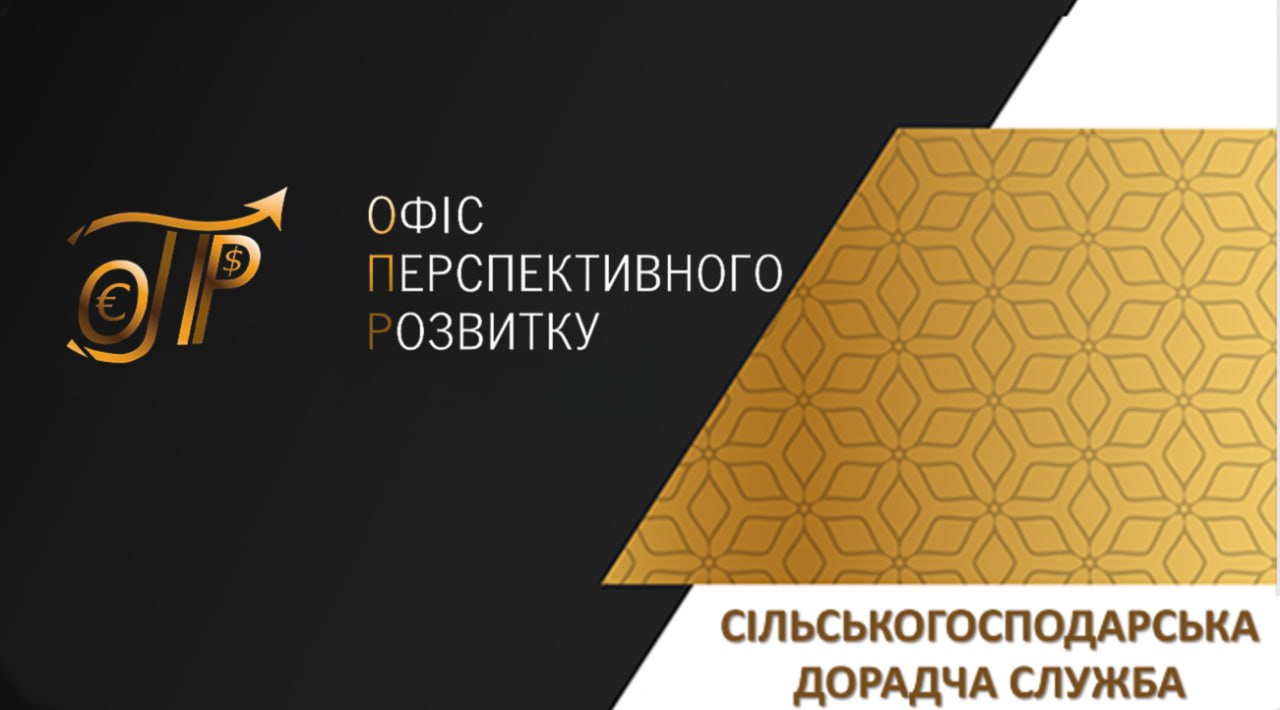 Презентація діяльності