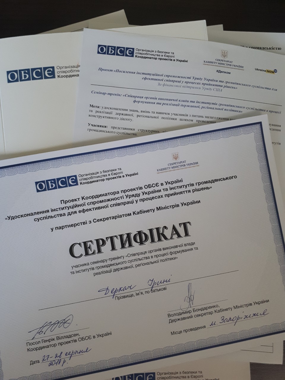 Додатково співпраця органів виконавчої влади та інститутів громадянського суспільства в процесі формування та реалізації державної, регіональної політики