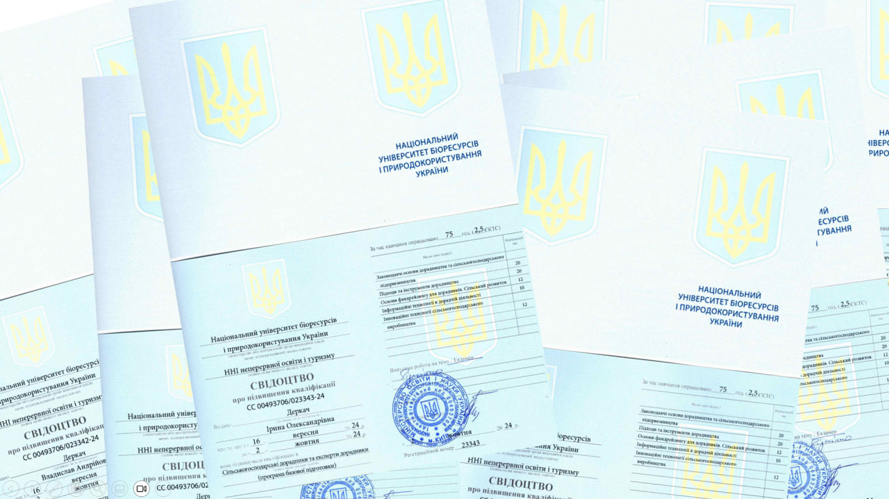 Підвищуємо кваліфікацію команди