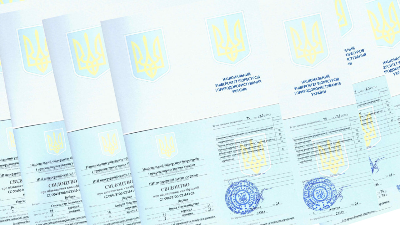 Додатково підвищуємо кваліфікацію команди